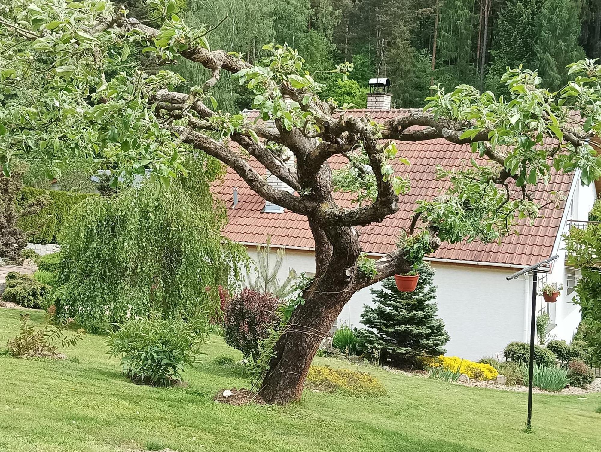 Ubytovani Iris Dolany  Eksteriør billede